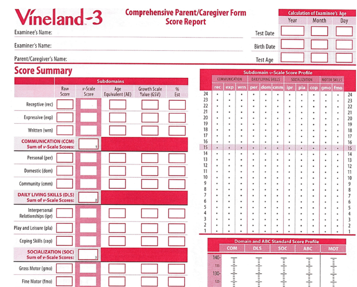 Vineland domain level vs comprehensive