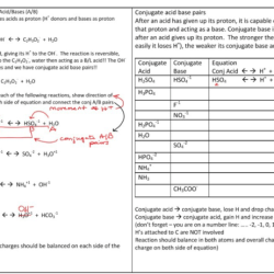 Bronsted lowry acids & bases worksheet