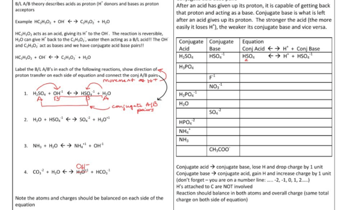 Bronsted lowry acids & bases worksheet