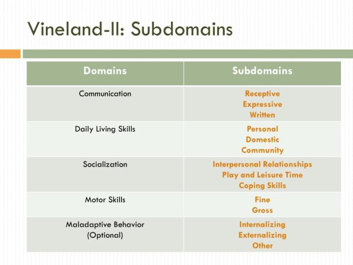 Vineland domain level vs comprehensive