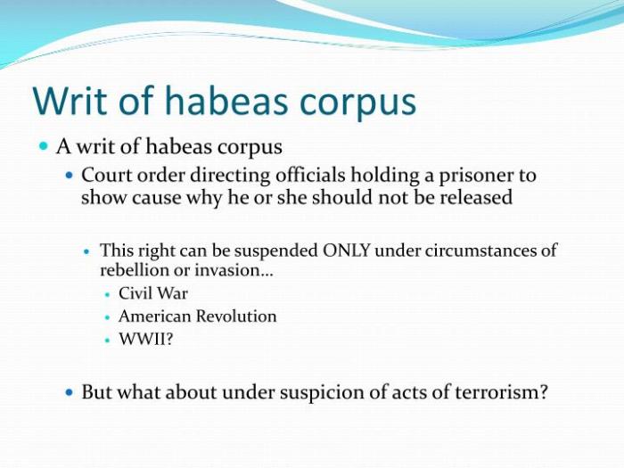 Writ of habeas corpus ap gov