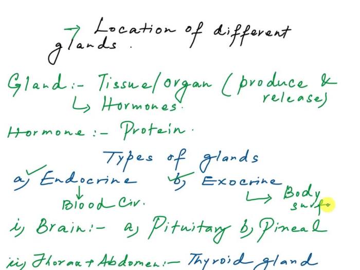 Endocrine system powerpoint presentation ppt organs glands hormones major development