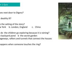 The magician's nephew questions and answers pdf