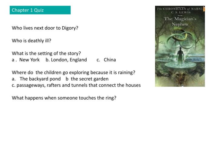 The magician's nephew questions and answers pdf